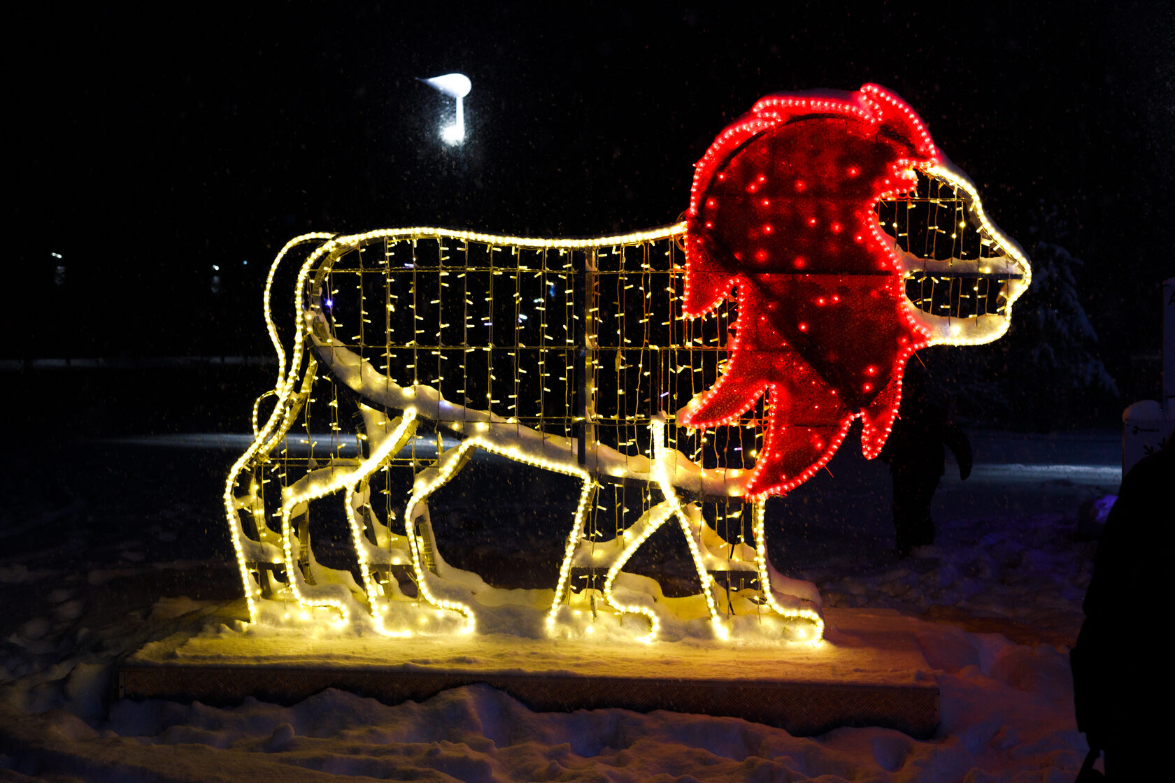 Фотозона цирк