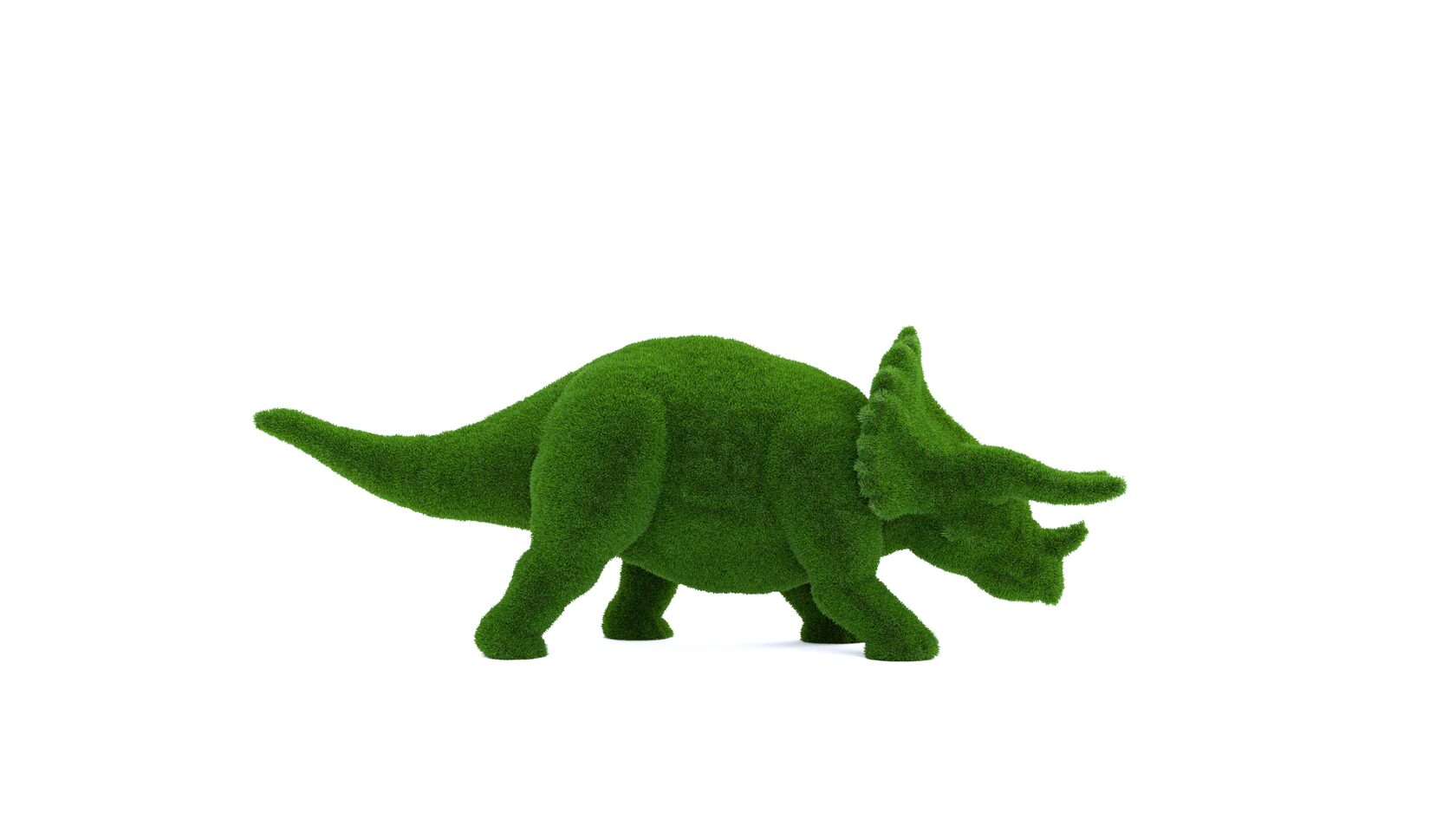 Динозавр Трицератопс — изображение 7