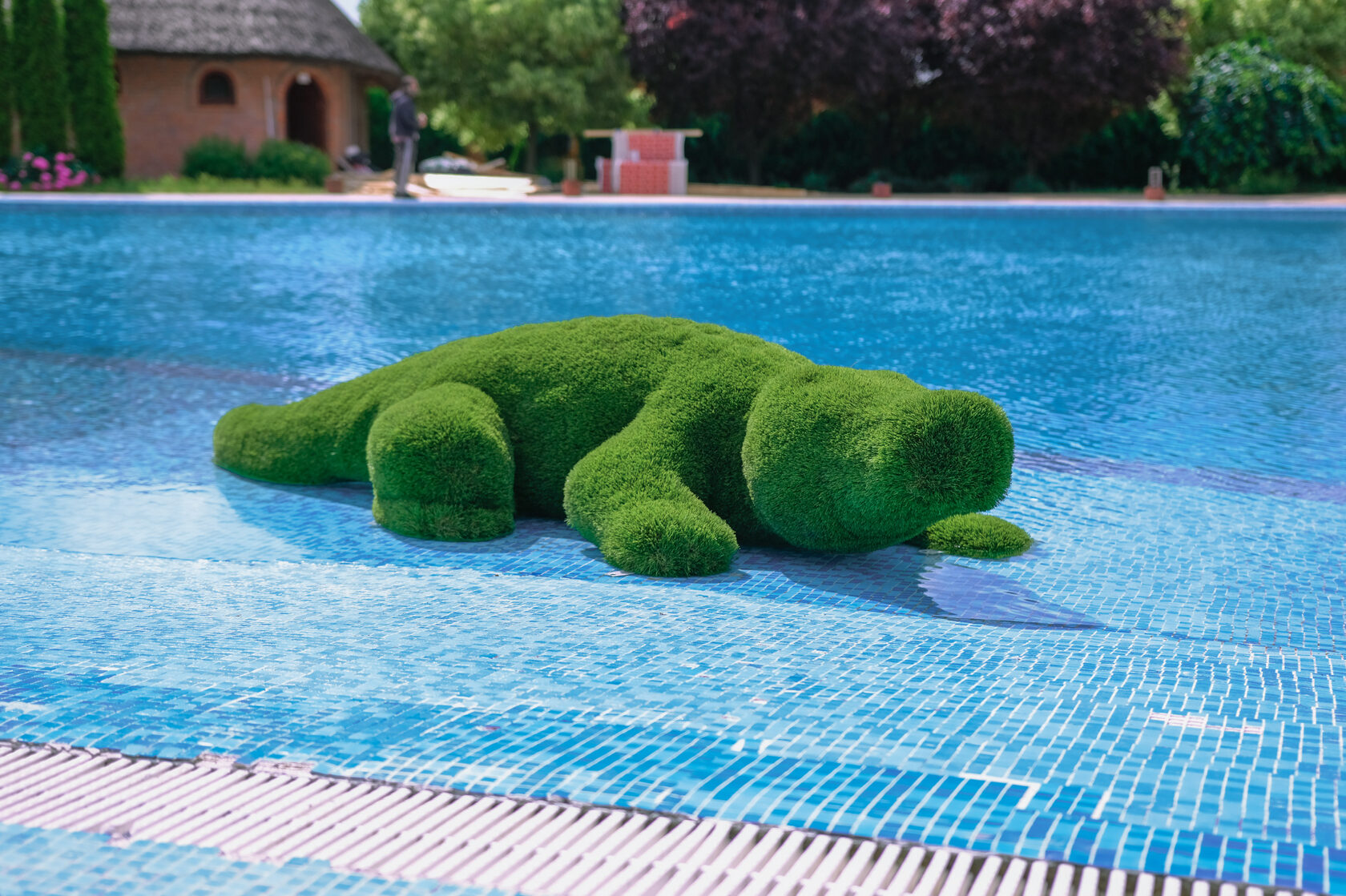 Крокодил — изображение 10