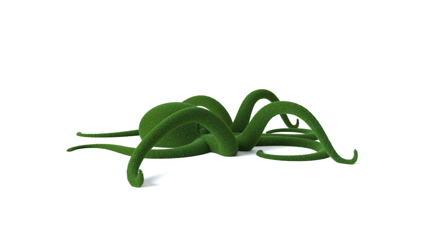 Осьминог №1 — изображение 6