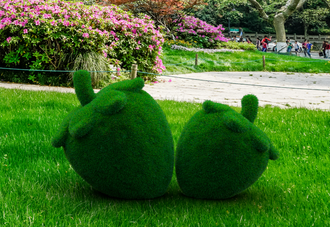 Клубника — изображение 2