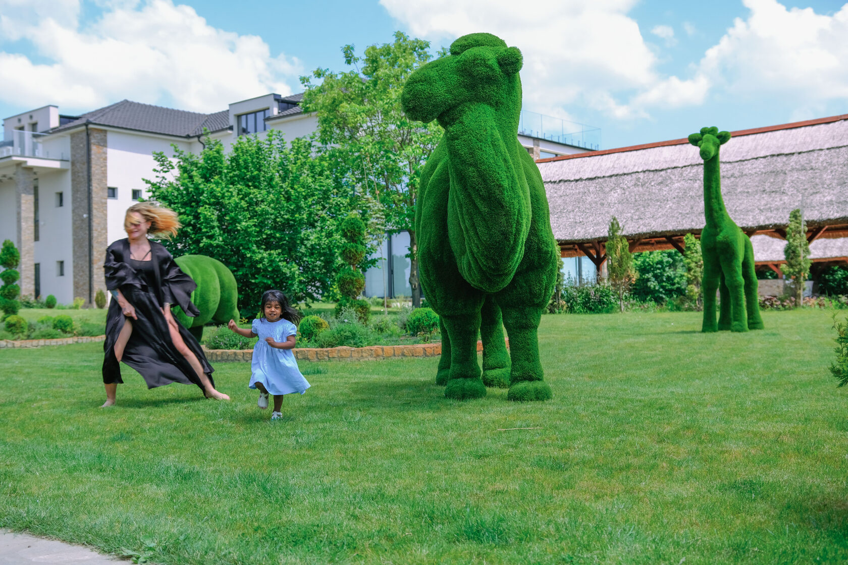 Верблюд №2 — изображение 2