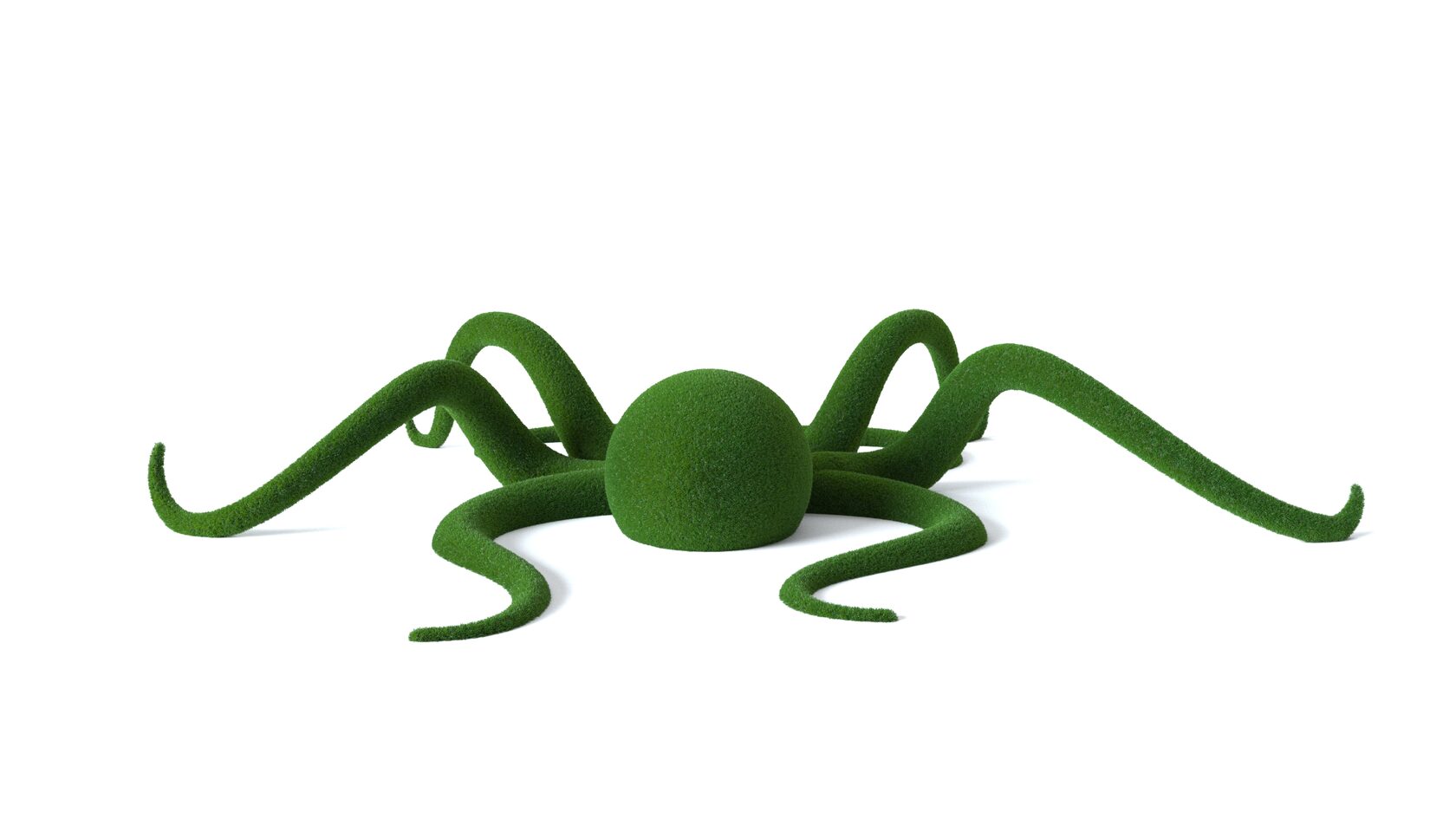 Осьминог №1 — изображение 5