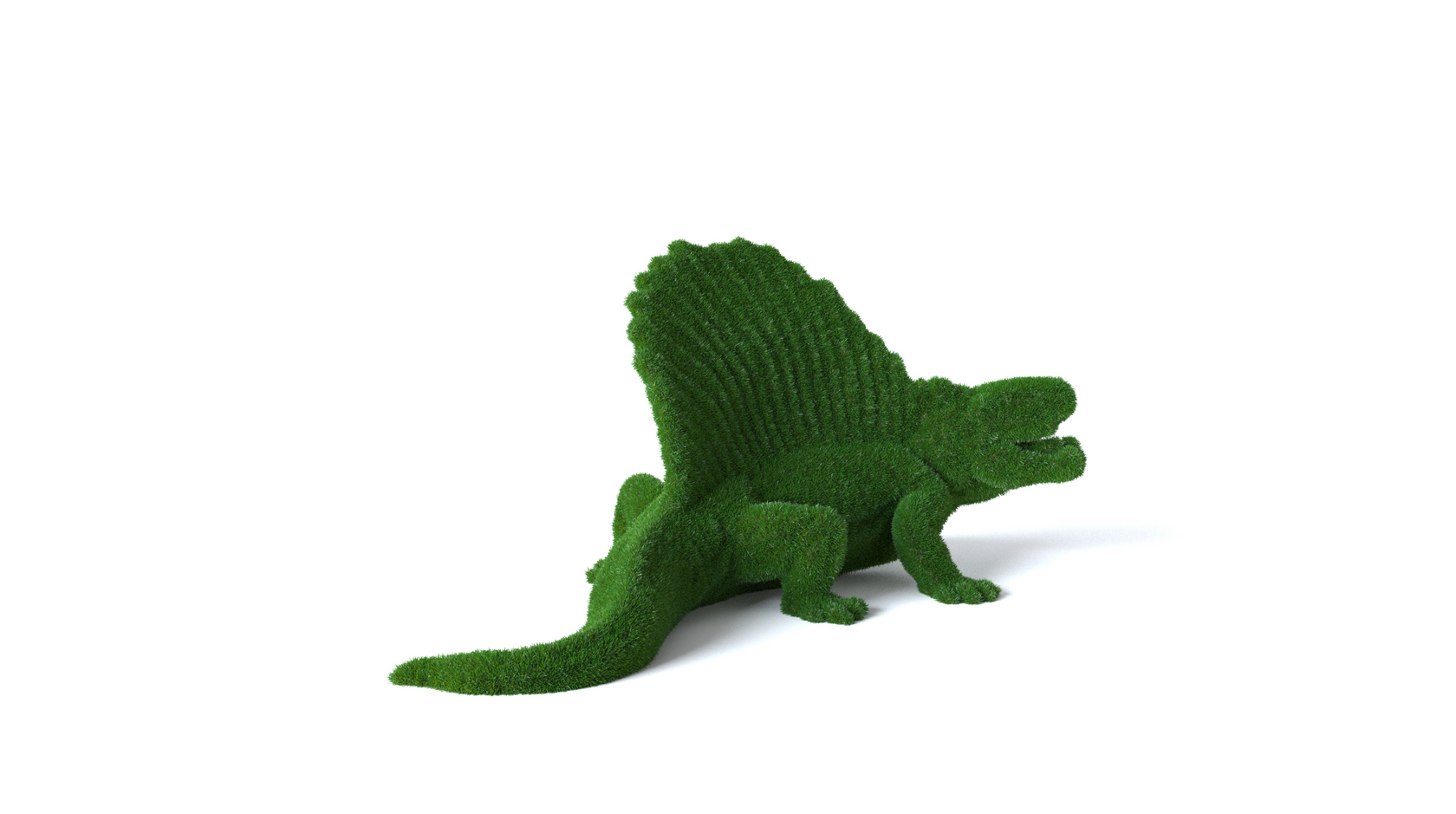 Динозавр Диметродон — изображение 5