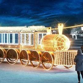 Подколлекция Полярный экспресс